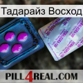 Тадарайз Восход 37